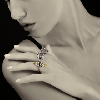 Venere, Important emerald cut diamond ring