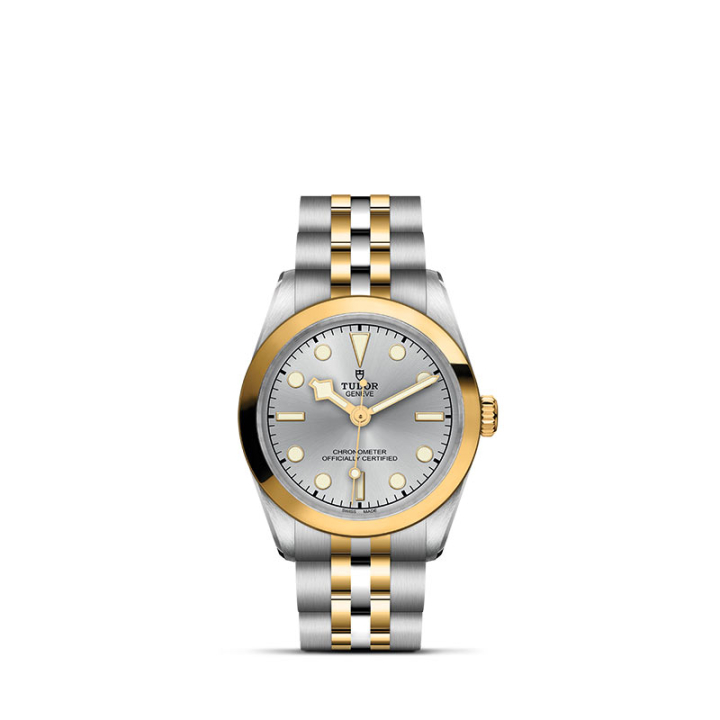 TUDOR, Black Bay 31/36/39/41 S&G