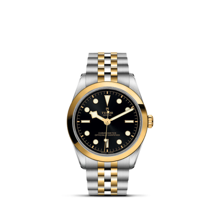 TUDOR, Black Bay 31/36/39/41 S&G